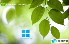 <font color='#CC0000'>ƻϵͳwin8.1 64λѾѡv2025.04</font>