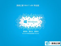 ϵͳ֮⼤win11 64λרùٷv2024.05