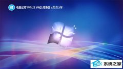 电脑公司Windows11 快速纯净版64位 2021.08