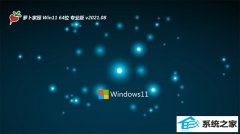 ܲ԰Windows11 64λ ׼װ 2021.08